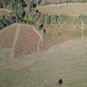 DJI_0546