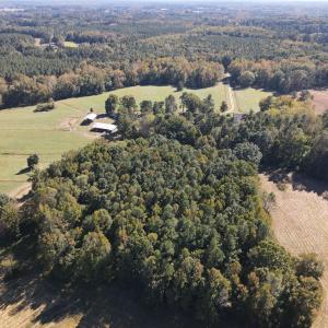 DJI_0550