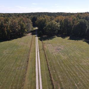 DJI_0554