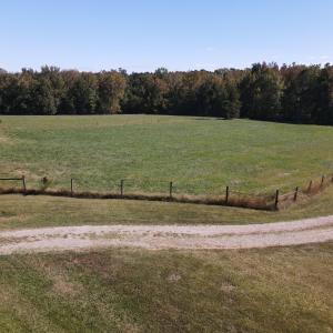 DJI_0558