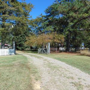 DSC01205