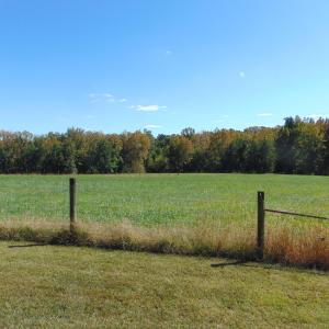 DSC01206