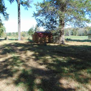 DSC01221
