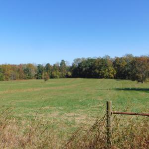 DSC01230