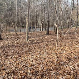 12) 64109-68eac8c8029ad