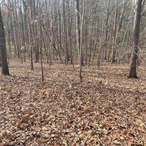 13) 64109-68eac8c8af519