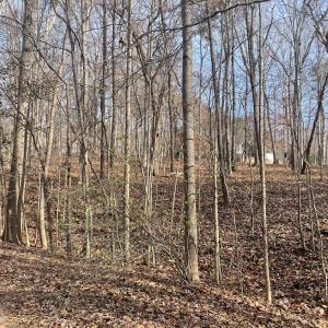 3) 64109-68eac8c72af2f