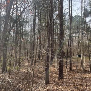 4) 64109-68eac8c76c233