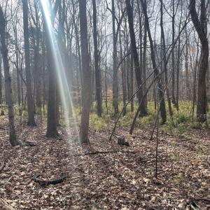 7) 64109-68eac8c76b448