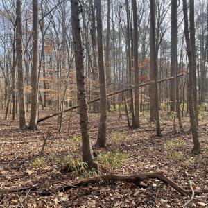 8) 64109-68eac8c8dbaa9