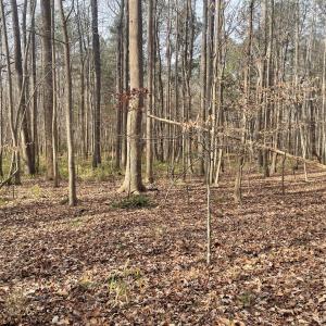 10) 64109-68eac8cb9b1ea