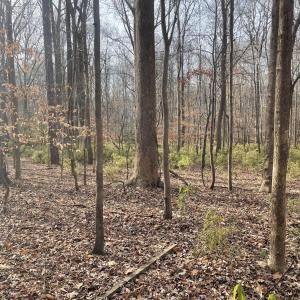 11) 64109-68eac8cb99df7