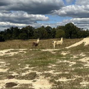 424beb44-ba41-4949-a97b-2e5865e04ac7