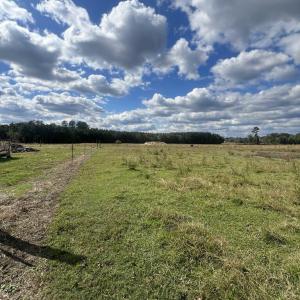 c74189df-1f8f-4717-87be-ff6aca80fee6