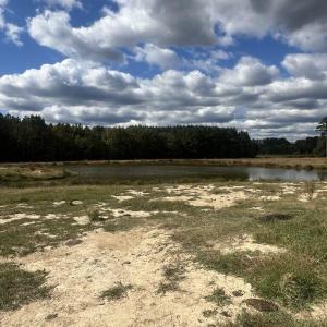 95fdc2d6-cba9-40fd-b667-6355d4165e61