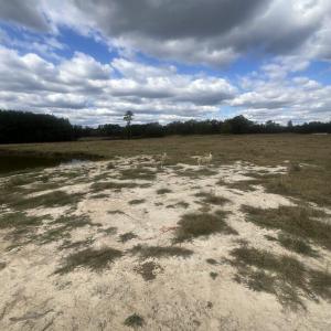 385c3040-80a0-45f4-afe4-122e05d068d7