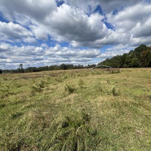 326bf6b4-7707-4a31-97c5-b6af7005b5ce