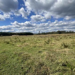 8119c311-212f-4247-bbe2-63b25d40a3f8