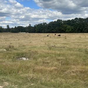 82a758f8-d0eb-4de0-8a43-58407a5a48c9