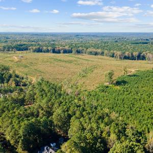 05-0 Winston DRONE _0021