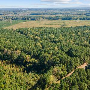 02-0 Winston DRONE _0010