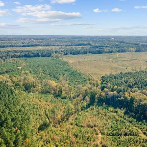 10-0 Winston DRONE _0046