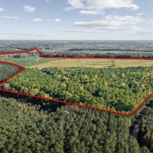 03-0-Winston-DRONE-_0036a