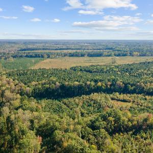 09-0 Winston DRONE _0041