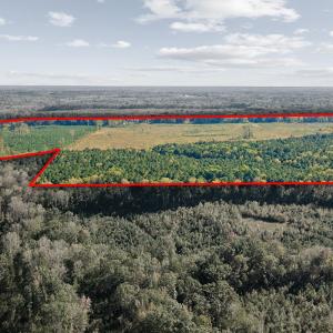 04-0-Winston-DRONE-_0041a