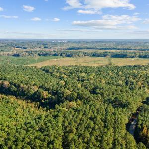 08-0 Winston DRONE _0036