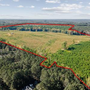 02-0-Winston-DRONE-_0021a