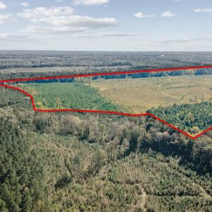 05-0-Winston-DRONE-_0046a