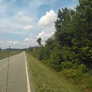 Road Pic