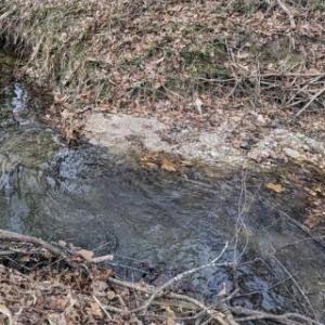 Screen Shot 2025-10-19 at 4.10.30 PM