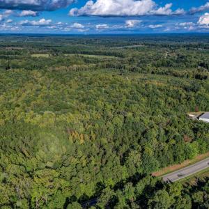 N NC Hwy 86 Yanceyville NC-large-005-012