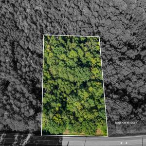 N NC Hwy 86 Yanceyville NC-large-009-008