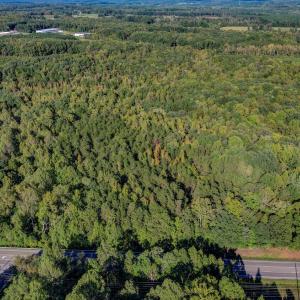 N NC Hwy 86 Yanceyville NC-large-010-006