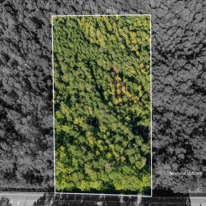 N NC Hwy 86 Yanceyville NC-large-011-011