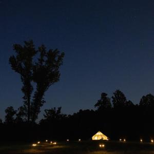 night sky