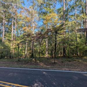 PXL_20251018_183818132