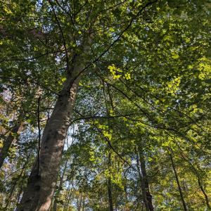 PXL_20251018_184222388.MP