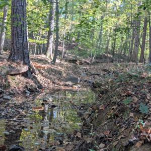 PXL_20251018_184809077.PORTRAIT