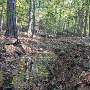 PXL_20251018_184809077.PORTRAIT