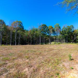 Cleared road frontage