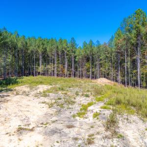 View of cleared back part of property