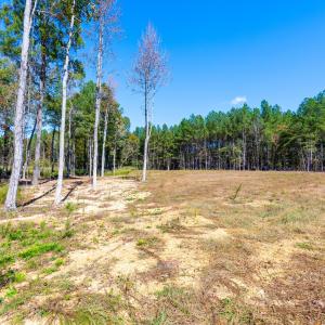 Cleared road frontage