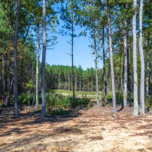 Walk-through the of the property