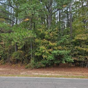 PIC of Road Ft LAND 20251021_171720