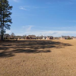 12-web-or-mls-P1402746