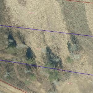 Screenshot 2025-10-20 at 12.47.47PM